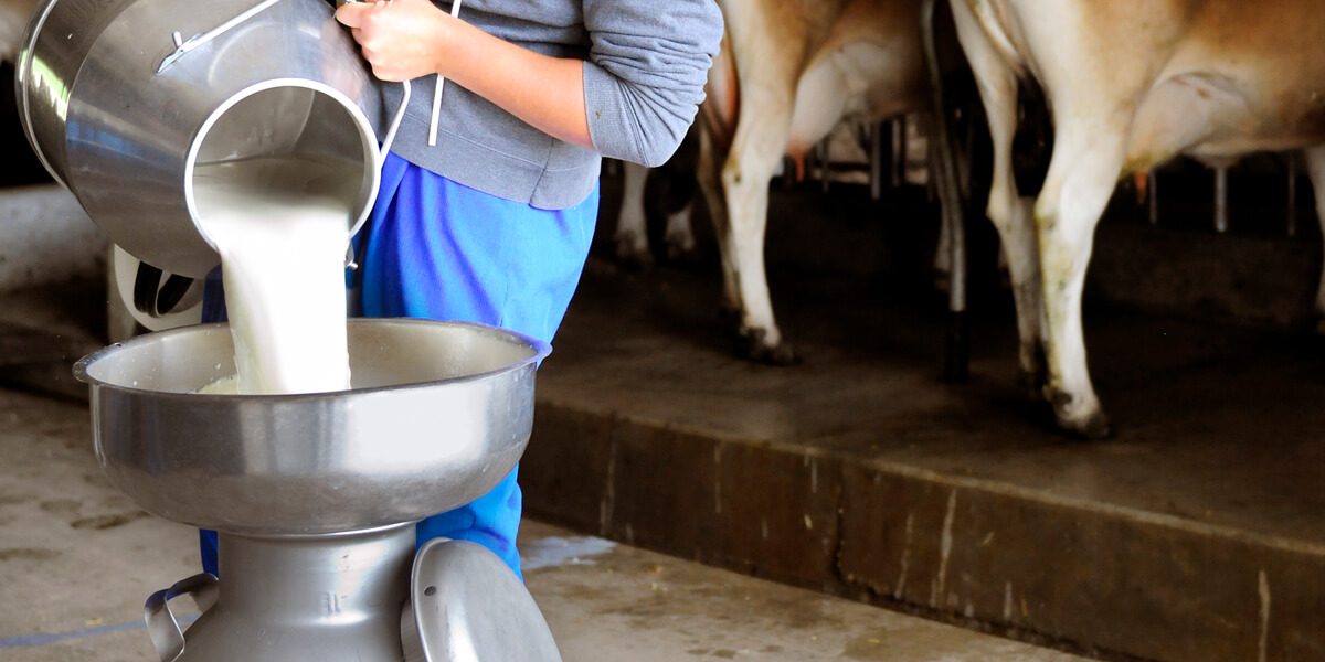 Ecuador se alista para exportar leche alta en proteínas a China