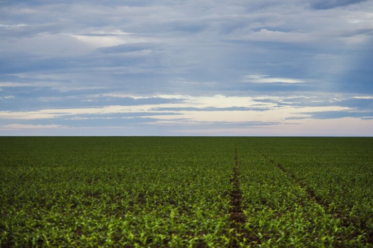 Nuevo Acuerdo Impulsa Importación de Biofertilizantes entre Brasil y China