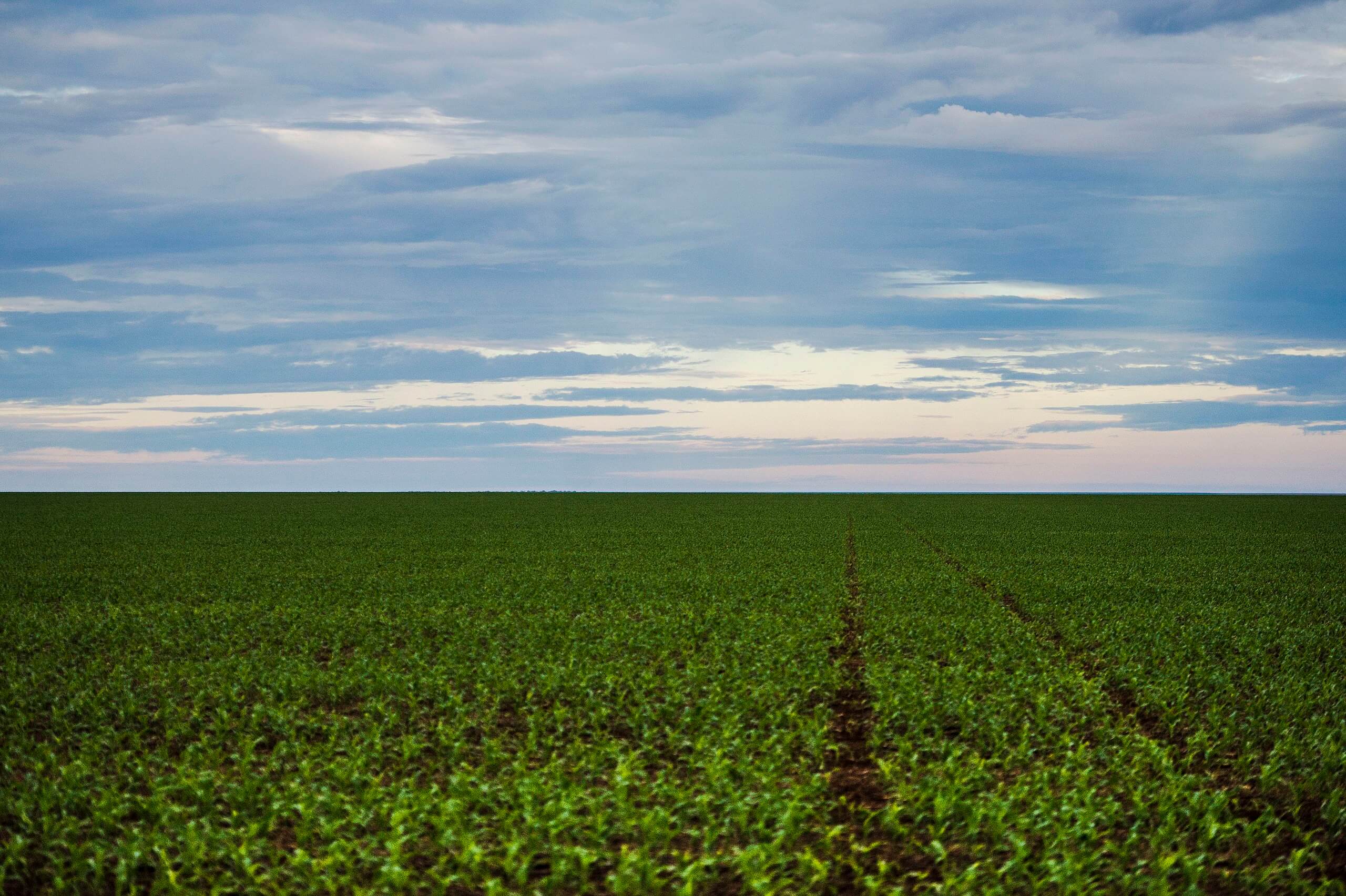 Nuevo Acuerdo Impulsa Importación de Biofertilizantes entre Brasil y China