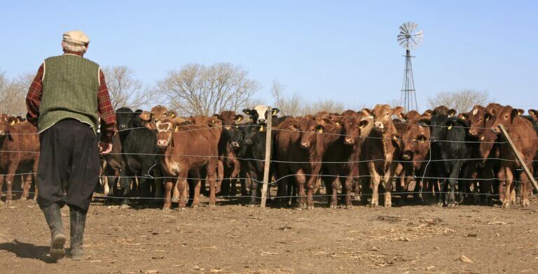 Argentina y China acuerdan nuevos protocolos de exportación agropecuaria