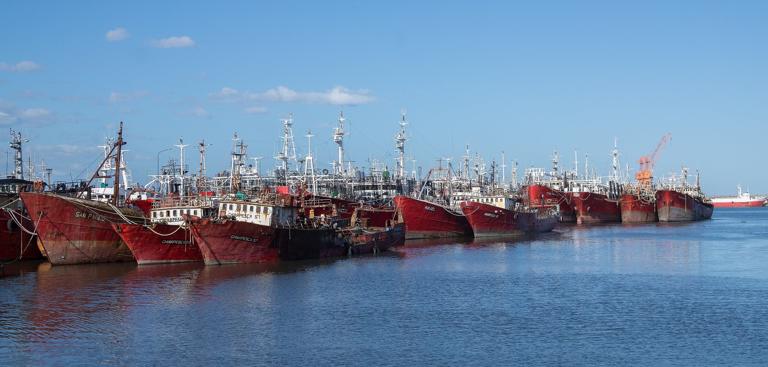 De esta forma opera la flota pesquera china en límites de aguas territoriales argentinas