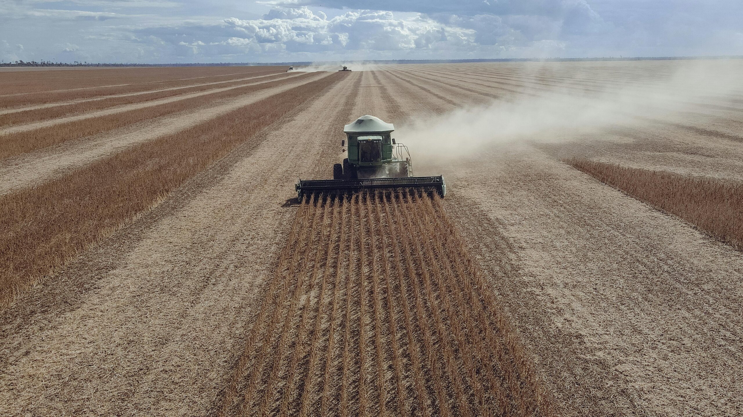 Por conflicto comercial entre China y EE.UU, Brasil aumentaría sus exportaciones de soja al país asiático