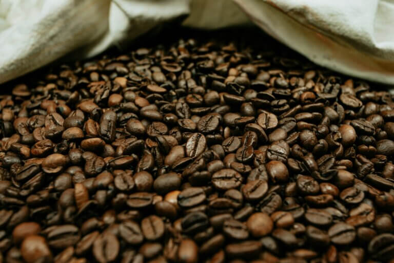 Nicaragua empezará a exportar café nacional a la República Popular China