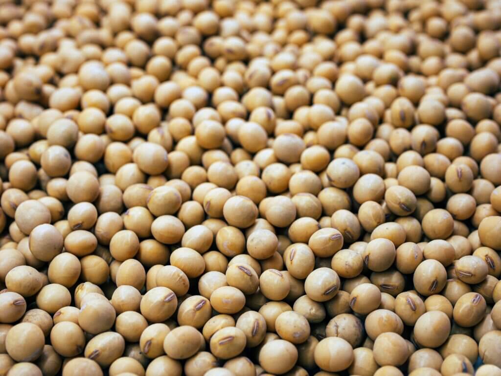 El mercado chino aumentaría su demanda de soja latinoamericana