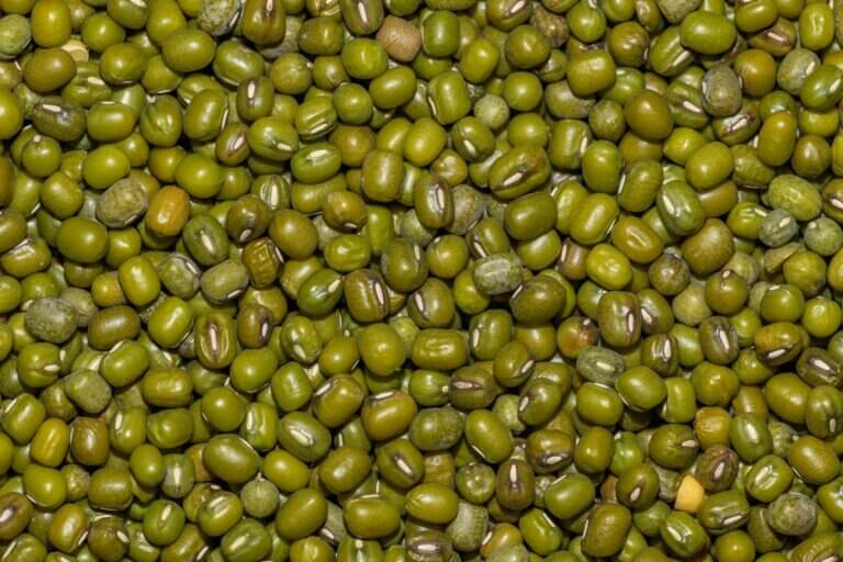Nuevo acuerdo bilateral entre Venezuela y China, para la exportación de frijol mungo