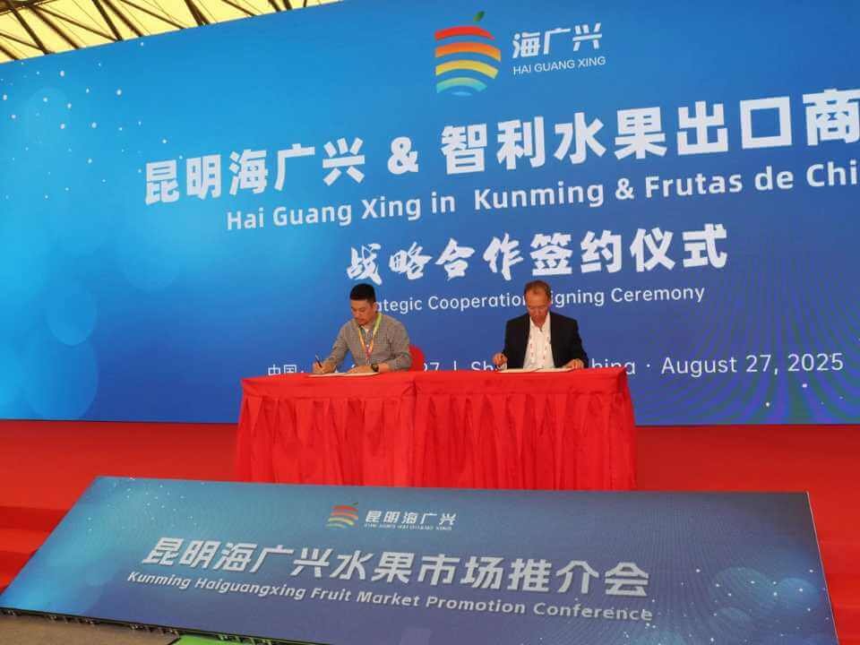 Chile firma Memorando de Entendimiento para impulsar exportaciones de fruta en China