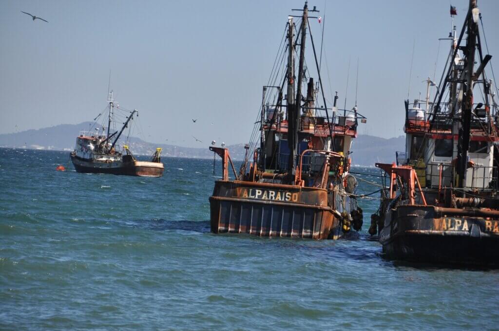 Pescadores chilenos denuncian flotas chinas y sobrepesca en el Pacífico